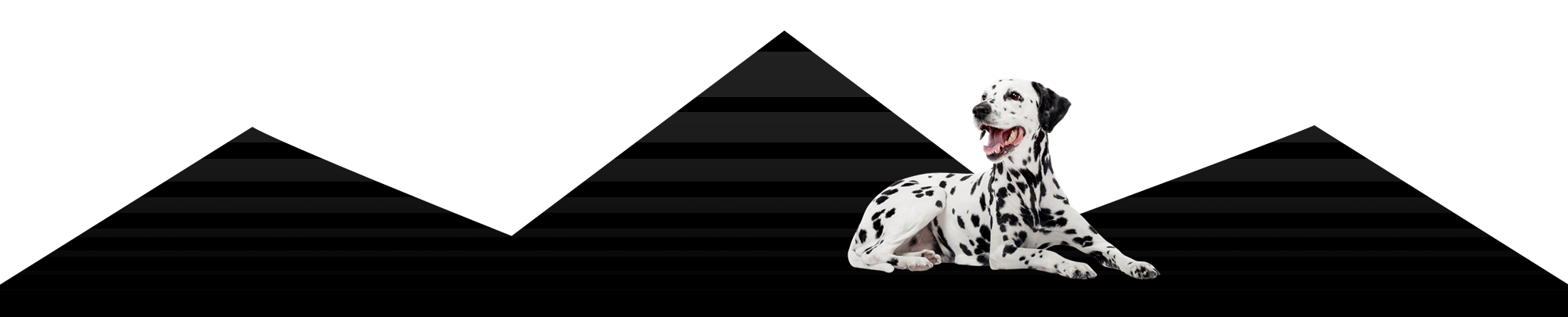 roof peaks with dalmation